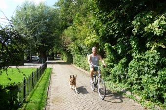 fietsbeugel voor uw hond